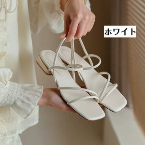 obNXgbvT_ fB[X Ƃ  xg T_ 芴 q[T_ XNGAgE  C  l r V[Y Vv di163x0x0m6