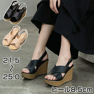  T_ EFbW\[  NXXgbvT_ q[8.5cm EFbW\[ NXxg Xgbv TCY 傫TCY fB[X I[vgD r  