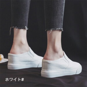  Xj[J[ Xb| fB[X q[7Z` ubN  zCg  [Jbg  ƃt[ Cq[ 傫TCY ₷ C JWA RtH[g dy0