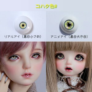 h[AC AAC AjAC ̊֐ߐl` BJD SD DD AC 14mm 16mm 18mm 1/3 1/4 1/6 8FWJ ACXO[ ACXu[ RnNF t[bh p[v sN ~gO[ uE A