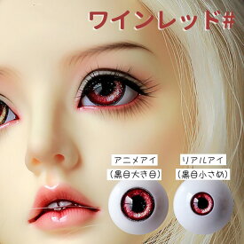 ドールアイ 高透過アクリル アクリルアイ 球体関節人形 BJD SD DD アイ 6色 14mm 16mm 18mm 1/3 1/4 1/6 ブルー グリーン レッド パープル ブラック アニメ フィギュア カスタム ドール用 交換用 目 人形制作 ハンドメイド 手芸 材料 コスプレ用 nc009x1x1m6