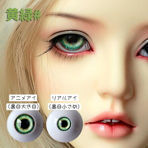 h[AC ߃AN ANAC ̊֐ߐl` BJD SD DD AC 6F 14mm 16mm 18mm 1/3 1/4 1/6 u[ O[ bh p[v ubN Aj tBMA JX^ h[p p  l`