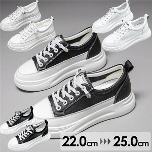 Xj[J[   fB[X Cq[Xj[J[ q[4cm Xb| S\[ PU ҂ݏグ  C TCY 傫TCY zCg ubN 22.0 22.5 23.0 23.5 24.0 24.5 25.0 di