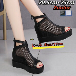 u[cT_ fB[X Cq[  ҂ bV ʋC ₷ I[vgD  r  q[ 8cm 11cm dh082x6x6lc