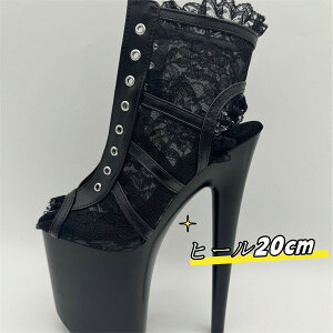 bVu[c T_ fB[X  r ʋC   PU JWA ubN 傫TCY nCq[ 20CM _XV[Y ėpV[Y dh095x6x6lc