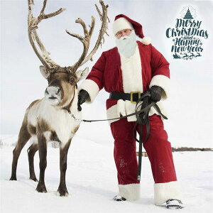 T^N[Xߑ {iT^ߑ YT^N[X 7_Zbgj T^ RXv l Xmas  Y T^RX NX}X Zbg 傫TCY aa076z7z7m6