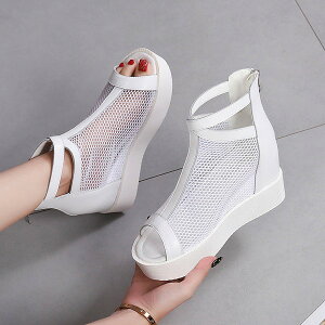 u[cT_ EFbW\[ Cq[ PU bV fB[X T}[u[c  I[vgD t@Xi[t r  ubN zCg 20.5~25.0 di006zuzum4