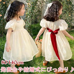 qhX t[K[ LbYhX uC_ { T}[hX LbYs[X s Pl ptX[u Cxg ؍ \  Zj[ tH[}hX 