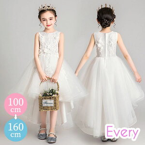  sAm \ hX q s[X t[K[ Pl ₹ i m[X[u GKg ̎q  tH[} LbYhX OhX 160 100 110 120 130 140 150 160 