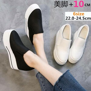  Xj[J[ Cq[ fB[X  Xb| JWA  zCg V[Y JWA  q[  ubNy22.0`24.5zdi560s1s1l7/s