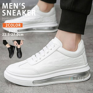 Xj[J[ Y Xj[J[ GA[NbV  Xj[J[ C V[Y EH[LOV[Y jOV[Y  ʋ ʊw U EH[LO jO g[jO A