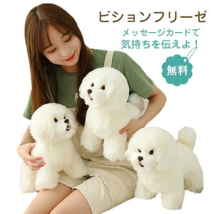 ʂ   rVt[[ pvX ̂ʂ  Aj}  l` {  A ybgCk  킢 MtgG v[g LbY q 