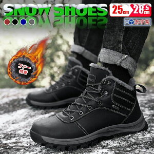 Y u[c [Nu[c V[gu[c uE h Yu[c V[Y  C ɂ SAebNX ~hJbg ϋv H [N RtH[g  \