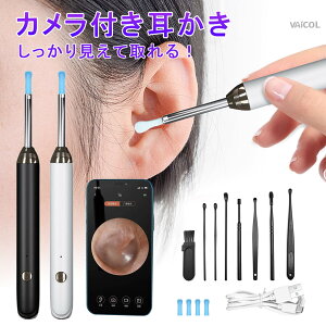  J C[XR[v | XR[v 3.5mmɍ׃Y hoJo[t CLbgo CJHD LEDCgt 2000Wf ~Zbg Type-c[d WIFIڑ iOS/Android/iPad