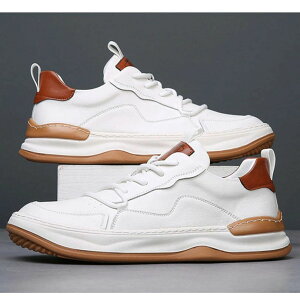 Y [Jbg Xj[J[ NbV JWA fC[ X|[c EH[LO y X|[cV[Y y JWA ₷ ₷ ɂ Vv x[VbN 