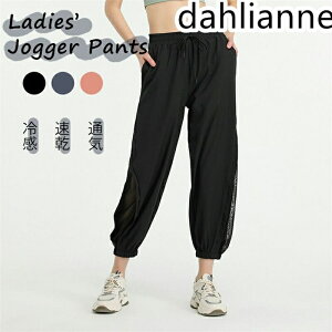 WK[pc fB[X XEFbgpc X|[cEFA W[W  ʋC  bV    