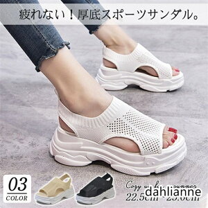 T_ X|[cT_ fB[X V[Y T_ jbg AEghA r[`T_ y  ₷ C   n