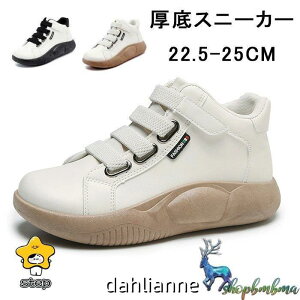 fB[X V[Y O Xj[J[ Xj[J[ fB[X Xb|  RtH[gV[Y  C nCJbgXj[J[