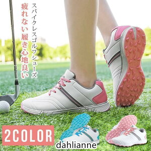 StV[Y fB[X V[Y XpCNX C ʋC  h Xj[J[ C L XpCNXStV[Y