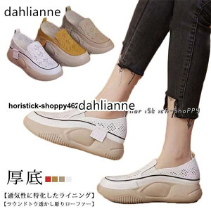 O V[Y fB[X  Xb|  q[5cm ₷ lԍHw [t@[ EhgD  ʋC Xj[J[