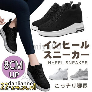 Xj[J[ fB[X   Cq[Xj[J[ V[NbgV[Y 8cm ₷ r q[Abv ɂ y