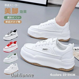 Xj[J[ fB[X C X|[cV[Y V[Y ~ h r r ₷ Ȃ ɂȂ ʋC Vv ʋ ʊw 