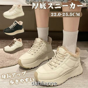  Xj[J[ fB[X N Xj[J[ Xm[u[c fB[X C ꂢ   ₷ y  Xj[J[ EH[LO