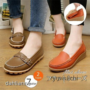 [t@[ fB[X pvX V[Y {v JV C ʋ ɂ JWA Vv t H ItBX Mtg