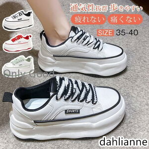  Xj[J[ fB[X X|[cV[Y C V[Y ~ r r ₷ Ȃ