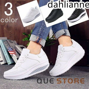 Xj[J[ fB[X  D^i[XV[Y _CGbgV[Y p V[Y r y EH[LOV[Y @Mtg