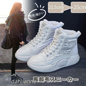 [gu[c fB[X ~ h h N ϖ  Xj[J[ N hC h ۉ _bhXj[J[ ~p y  