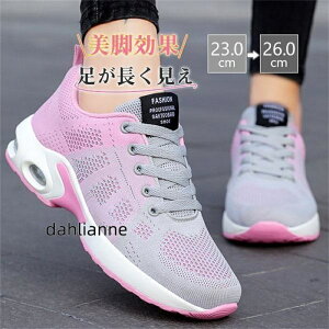  Xj[J[ fB[X D^ wlC _CGbg V[Y Ȃ y EH[LO X|[c bV ₷ WMO ^C