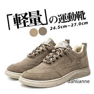 Xj[J[ Y y ₷ X|[c  U[ JWA jOV[Y StV[Y EH[LOV[Y 傫TCY  ^C