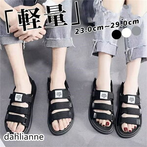 T_ Y r[`T_ X|[cT_ V[Y ʋC y ~  amp ^ j C C  ނ EH[^[V[Y