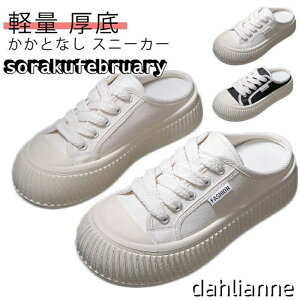 ~[ Xj[J[ ƂȂ  Xj[J[ fB[X T{T_ Xb| Xj[J[ C L Ch  傫TCY y