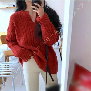 |GXe Z[^[ fB[X  H ~ XN[Z[^[ vlbN jbg St fB[X rWlX ʋΒʊw w XN[jbg fB[X