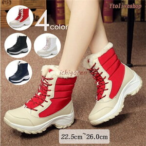 [gu[c u[c V[gu[c fB[X V[Y  [XAbv N {A g h h