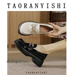 [t@[ fB[X JWAV[Y V[Y OhgD C Xb| t    傫TCY TCY  21.5cm-26.5cm