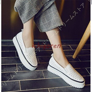 Xb| Xj[J[ fB[X  {v  TChSA [t@[ [Jbg vC   JWAV[Y tbgV[Y