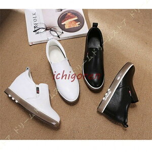 Xb| fB[X {v Xj[J[  傫TCY [Jbg Cq[ JWAV[Y ɂ EhgD d s ʊw C