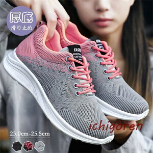 Xj[J[ fB[X X|[cV[YjOV[Y EH[LOV[Y L WjA AEghA y ~ O ʋ