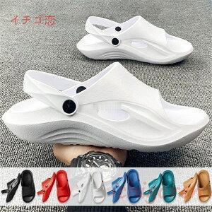 T_ Y NbOT_ fB[X r[`T_ 2way V[Y C T{ NbO  r[T