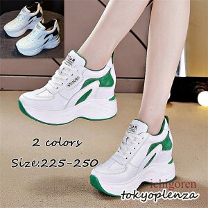 Xj[J[ C Cq[ nCJbg EH[LOV[Y r fB[X JWAV[Y ₷