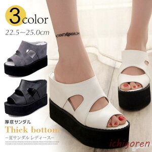 T_ ăT_ fB[X 10cmq[ V[Y C EFbW\[ r[T JWA  T{T_