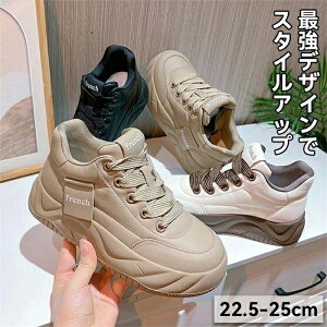 Xj[J[ fB[X V[Y JWA C Vv Xj[J[ ₷C Xj[J[ fB[X [Jbg ɂ ₷ ʋC