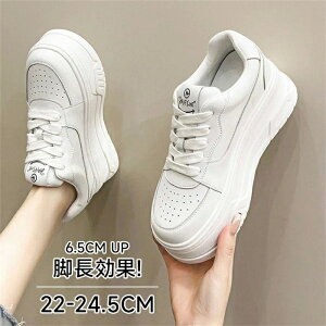 yʌXj[J[ fB[X C  Xj[J[ 22-24.5cm l ɂ  y 2030 40 50 ~ RtH[g ɂȂ s