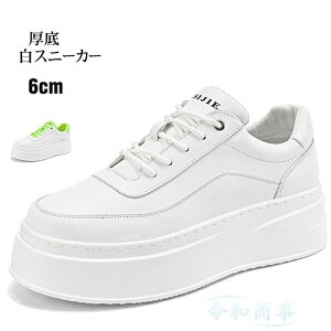 Xj[J[ Y Xj[J[ 6cmup j[J[ JWAV[Y   ʋC ~ ʋ ʊw