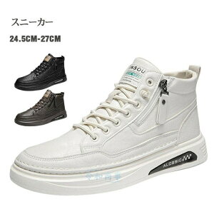 Xj[J[ Y nCJbg Xj[J[ Xj[J[ {vXj[J[ RS fbLV[Y EHLOV[Y C  ʋC ₷