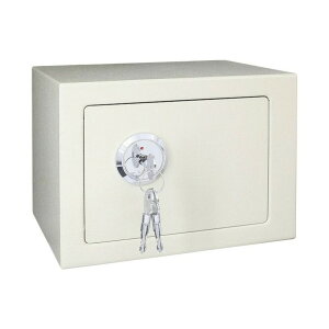 「特典付」2025年新モデル 金庫 小型 家庭用 持ち運び 鍵付き 手提げ金庫 ミニ 防犯 隠し 17*23*17cm 貴重品保管 小物入れ かわいい おしゃれ 防犯グッズ 防犯対策 卓上 お金 ボックス 印鑑 保管