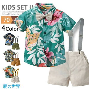 q ZbgAbv  j̎q AnVc ㉺Zbg LbY JWAVc tH[} Vc Tybg xr[ qVc WjA AnZbgAbv   